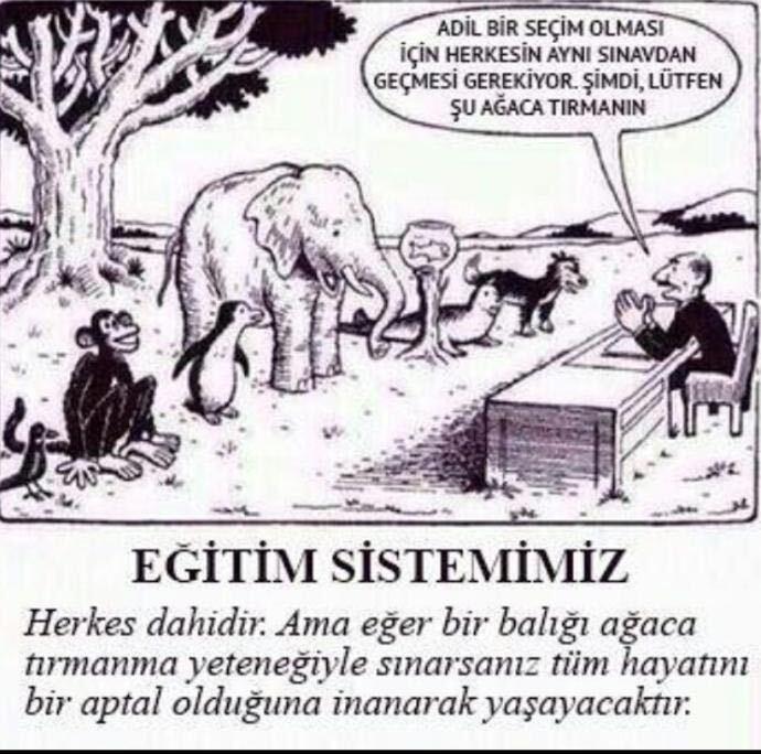 Liseye giden kardeşim okuldan çok soğudu, okulu nasıl sevdiririz?