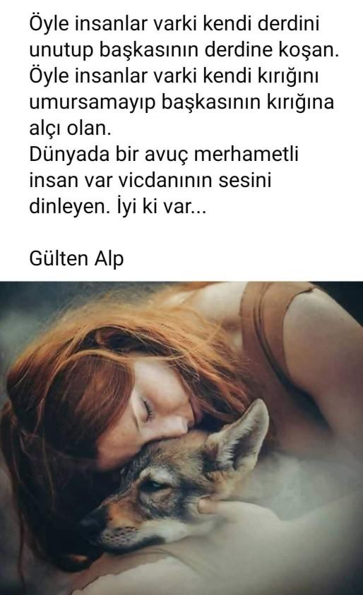 Sırtını duvara mı yaslamak daha güvenli, yoksa dosta mı?