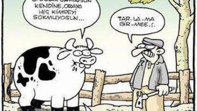 Hayatınıza arkadaş/sevgili olarak alacagınız kişiye yüksek duvarlar örer misiniz?