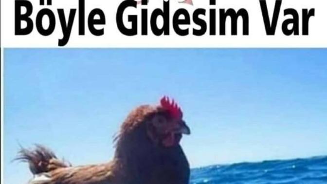 Başımı alıp gidesim var dediğiniz oldu mu hiç?