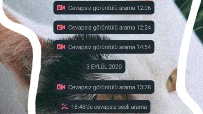 Görüntülü konuşmayı sever misiniz?