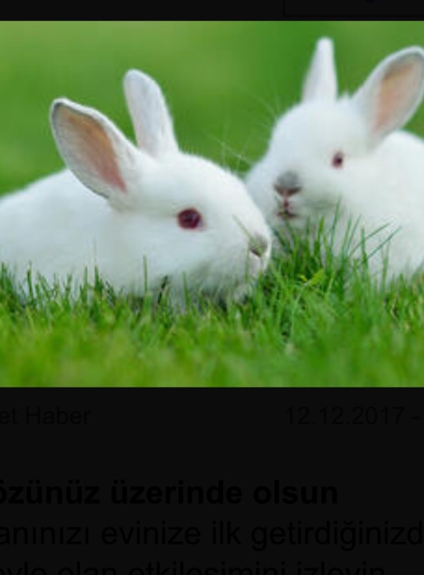 Ebelik bölümü nasıl bir bölüm?