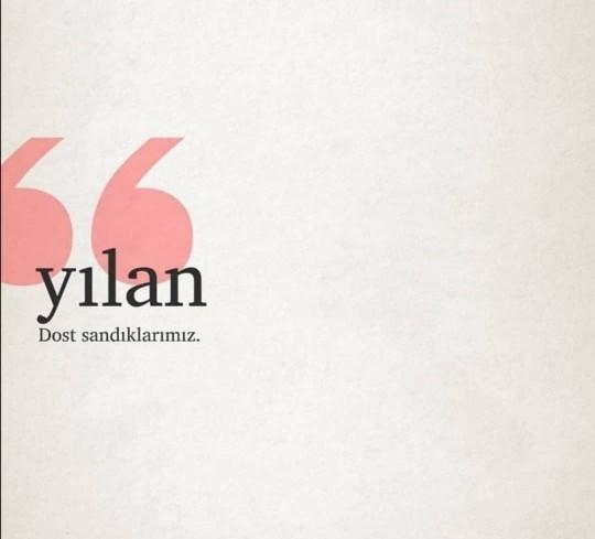 Dost sandıklarınız ne çıktı?