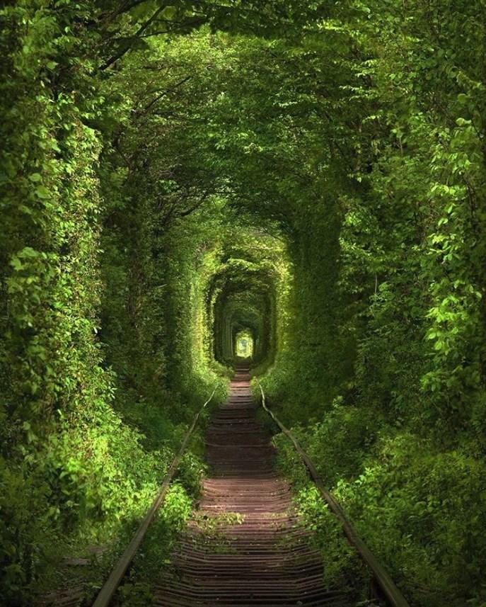 RIVNEDE ROMANTİK AŞK TÜNELİ "TUNNEL OF LOVE" / UKRAYNA