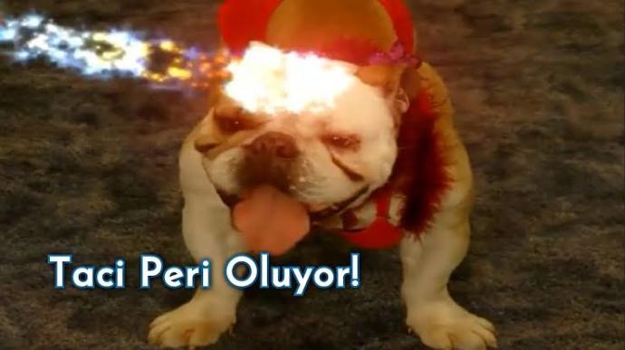 Galerinizdeki en son fotoğrafi paylaşın bakalım neler var?