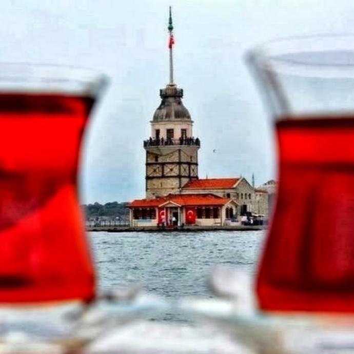 İmkan olsa Almanyada mı yaşamak isterdiniz Türkiyede mi?