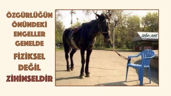 İntihar etmek çözüm müdür?