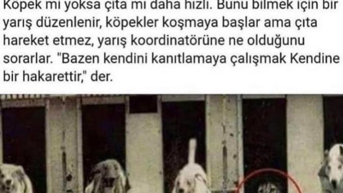 Siz kendinizi başkalarına kanıtlamaya gereği duyuyor musunuz?