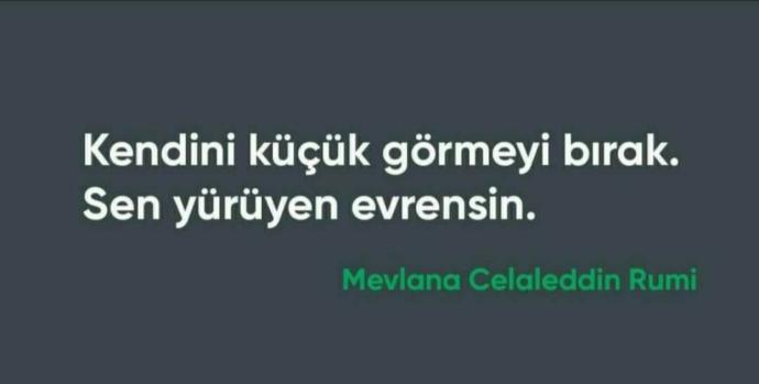 Kimseye minnet etmeyip, kendinin kıymetini bilmek kadar güzel bir duygu daha var mı bu dünyada 🥰?