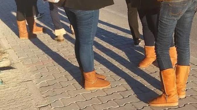 Bitki örtüsü gibi her yere yayılan karşı cins ayakkabısı hangisi?
