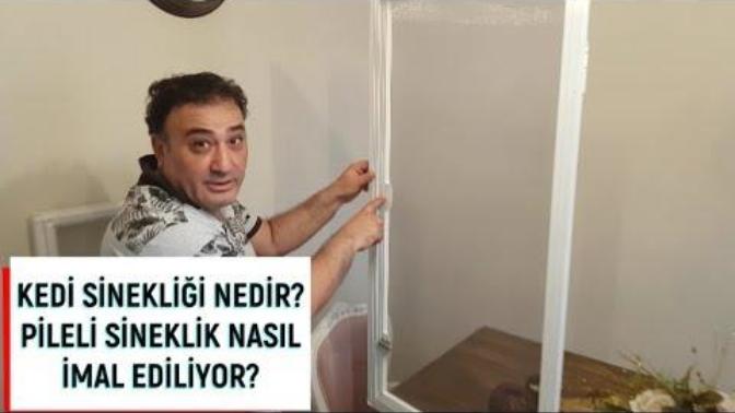 Kedilerin camdan atlamasına SON. Kedi sinekliği nedir?