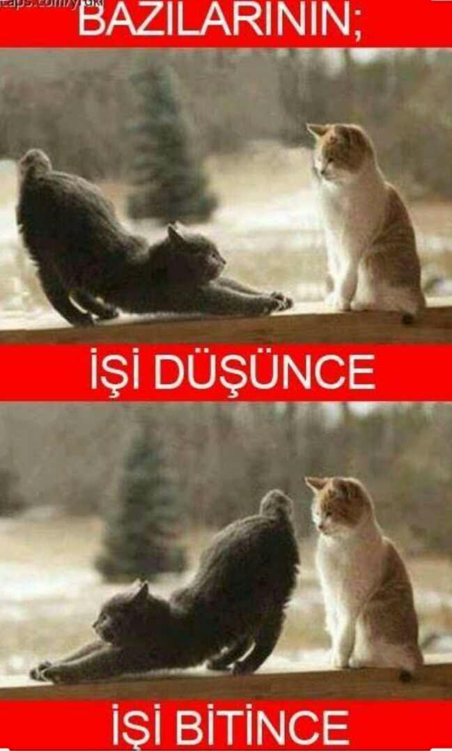 Size işi düşünce arayan insanlara nasıl tepki veriyorsunuz?