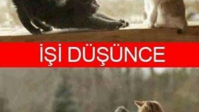Size işi düşünce arayan insanlara nasıl tepki veriyorsunuz?