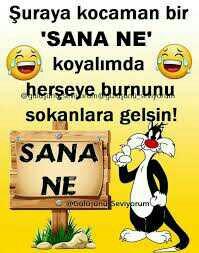 Sizde herşeye burnunu👃 sokanlardanmisin😃?