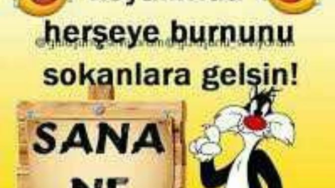 Sizde herşeye burnunu👃 sokanlardanmisin😃?