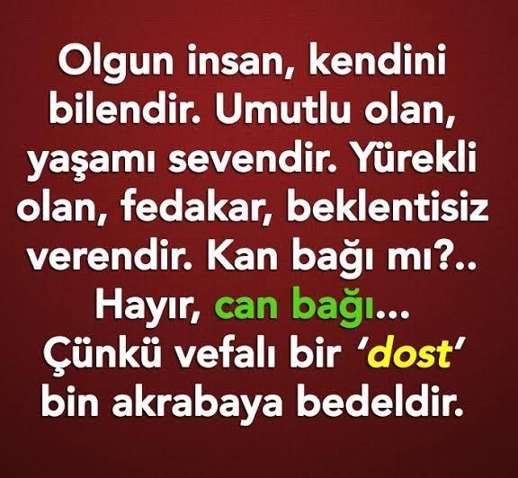 Kan bağı mı? Yoksa can bağı mı?