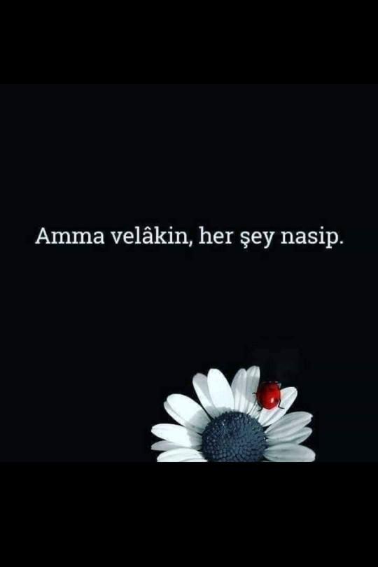 Yaşıtlarınızın birer birer evlenmesi sonucunda çevrenizden toplum baskısı görüyor musunuz 😕?