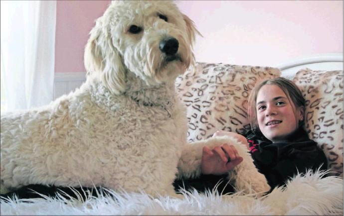 Köpeğim var diye evime gelmek istemeyen arkadaşlarıma tepki vermeli miyim?