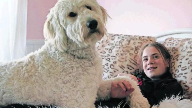 Köpeğim var diye evime gelmek istemeyen arkadaşlarıma tepki vermeli miyim?