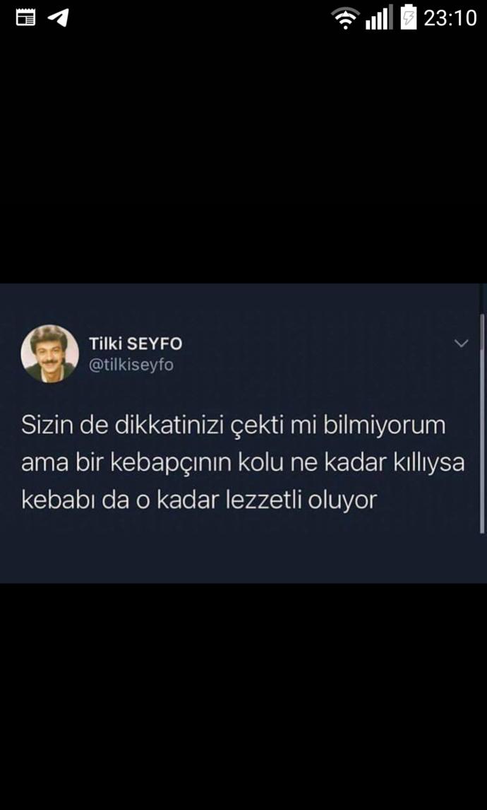 Kebapçıların kollarındaki kıl ile kebap lezzeti doğru orantılı mı?