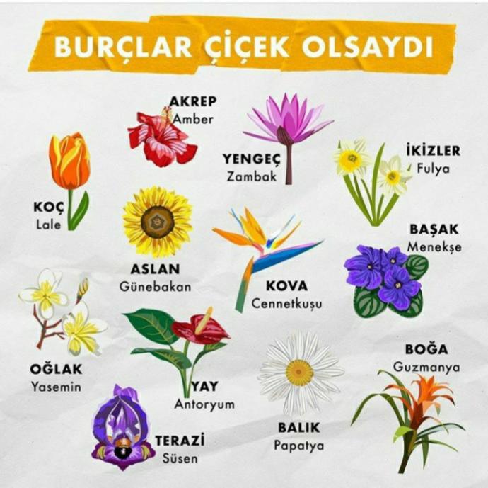 Burcunuz bir çiçek olsa siz ne olurdunuz?
