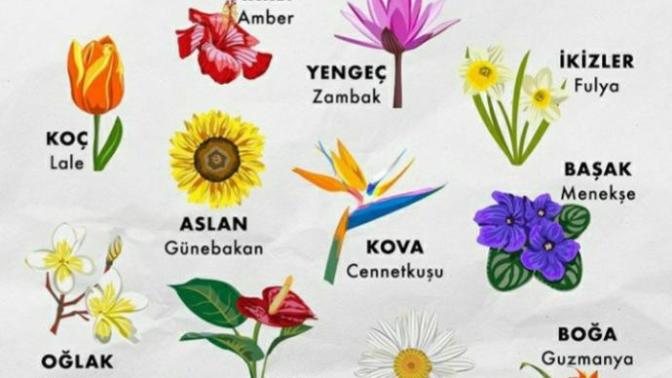 Burcunuz bir çiçek olsa siz ne olurdunuz?