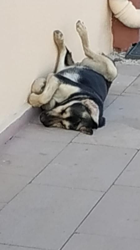 Gördüğünüz en güzel, en değişik uyuma şekli kime ait?