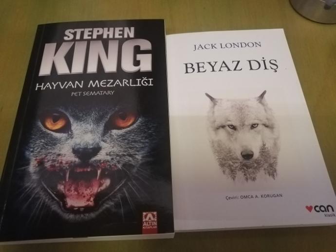 Son zamanlarda satın alıp bayıldım dediğiniz kitaplar hangileri?