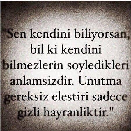 Haksız eleştiriler olsun genel olarak eleştirilere açık mısınız?