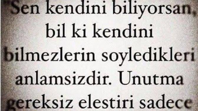 Haksız eleştiriler olsun genel olarak eleştirilere açık mısınız?