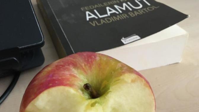 Yeşil elma 🍏 mı yoksa kırmızı elma mı🍎 ?