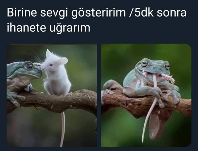 İyi niyeti suistimal edilen mi, yoksa eden misin?