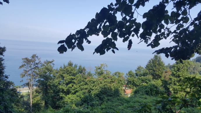 Manzara buna derim.