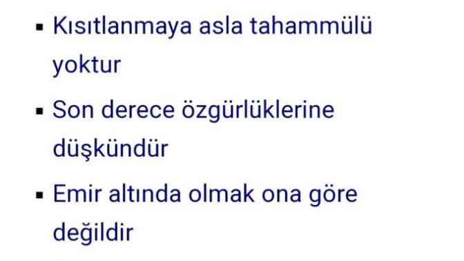 Sizce de ikizler kadını çok harika değil mi?