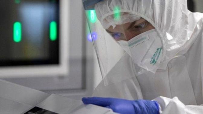 Çin’de bir kadın “Dağ Sıçanı” yiyerek 24 saatte öldüren yeni bir virüs ortaya çıkardı! Bu konu hakkında ne söylemek isterdiniz?