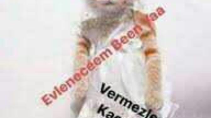 😂Bi kedi olsan adın nolurdu?