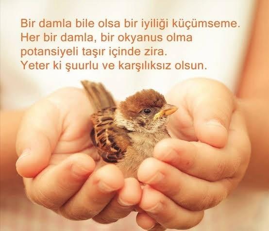 İyilik sizin için neyi ifade ediyor?