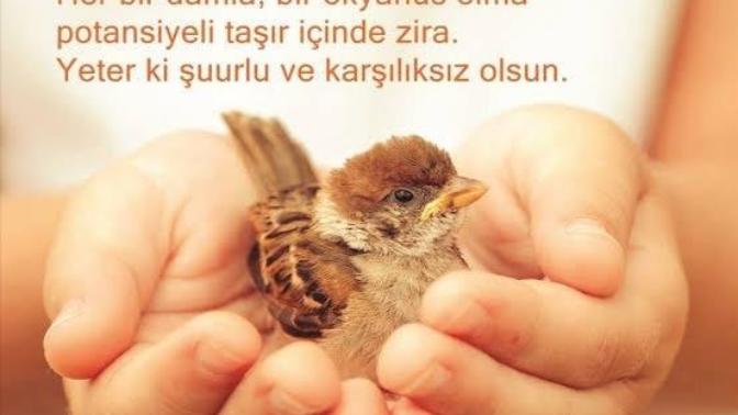 'İyilik' sizin için neyi ifade ediyor?
