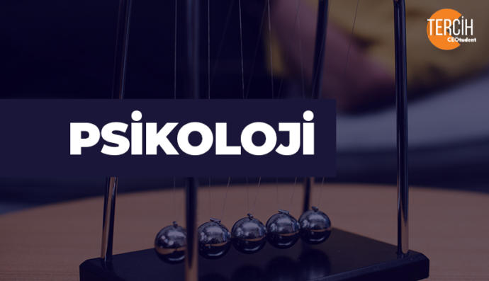 Psikoloji Mezunu Ne İş Yapar?