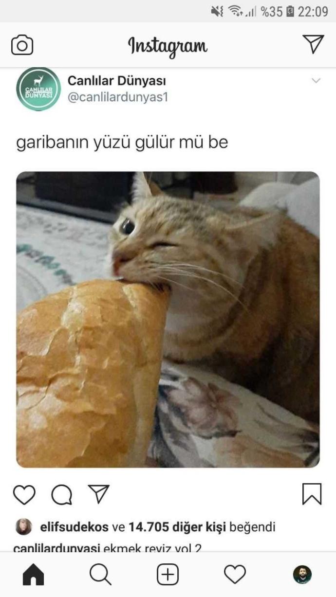 Türk filmlerinde en sevdiğiniz replik ya da replikler hangileri?