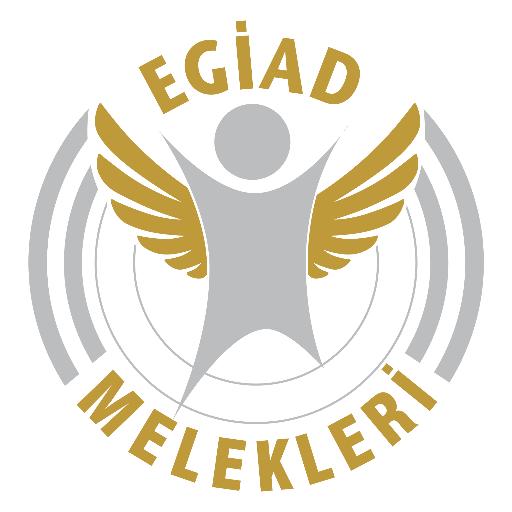 Türkiye'deki Melek Yatırımcı Ağları Nelerdir?