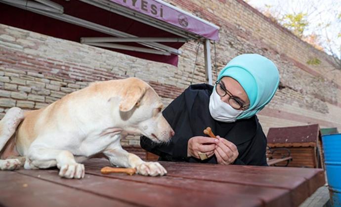 Engelli köpek sahiplenen ErdoğanYasanın bir an önce çıkmasını temenni ediyorumdedi. Sizce hayvanları koruma yasası çıkacak mı?