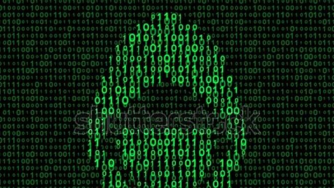 Bir hacker olsaydınız, kod adınız ne olurdu?
