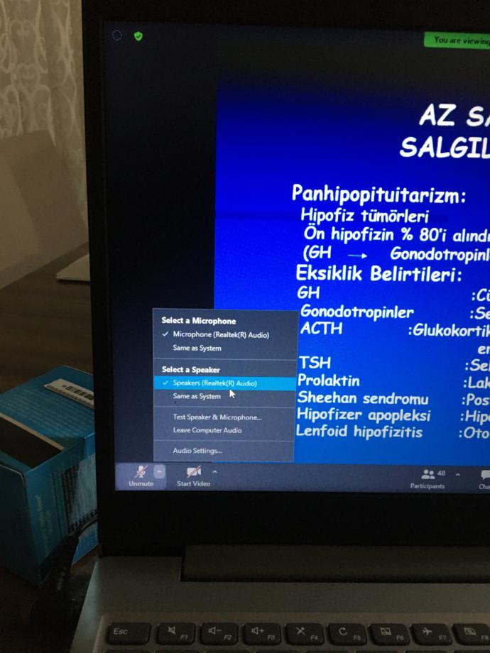 Zoom'da hocanın sesini alamıyorum, sorun ne olabilir?
