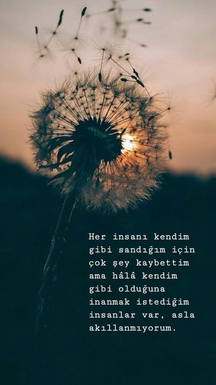 İyi niyetli olmak salaklıkla eş değer mi?