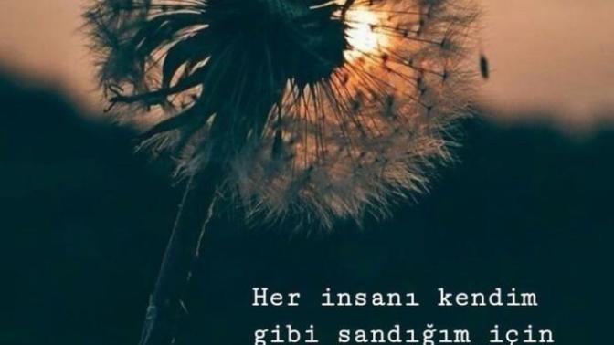 İyi niyetli olmak salaklıkla eş değer mi?