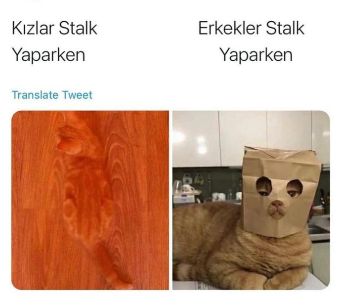 Erkekler 🤣🤣🤣