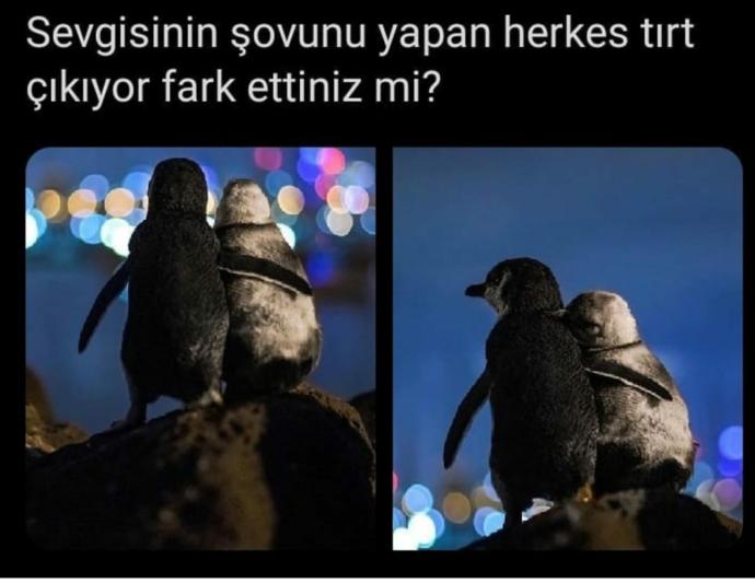 Sevgisinin şovunu çok yapanlar tırt mı çıkıyor?