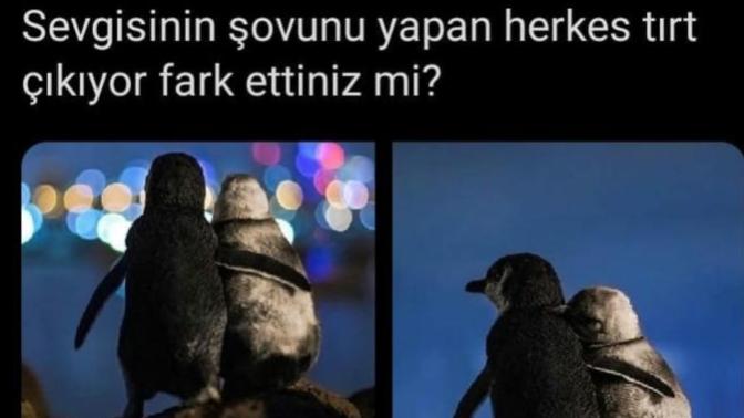 Sevgisinin şovunu çok yapanlar tırt mı çıkıyor?