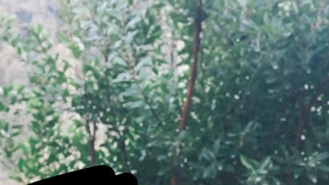Sizce bu normal bir fotoğraf mı?